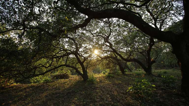 Aralam Farm and Wildlife Sanctuary 