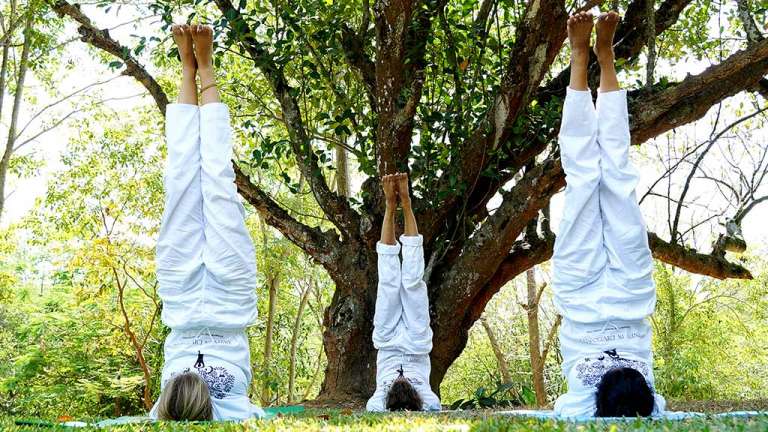 Sarvangasana - The Shoulder Stand