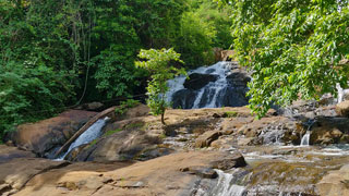 Aruvikuzhy Waterfalls in Kottayam
