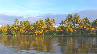 Backwaters of Kumarakom
