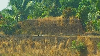 Chandragiri fort, Kasaragod