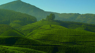 Munnar