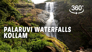 Palaruvi Waterfalls, Kollam | 360° Video