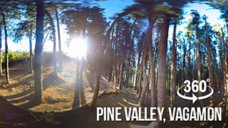 वागमण के देवदारु वन| 360° वीडियो
