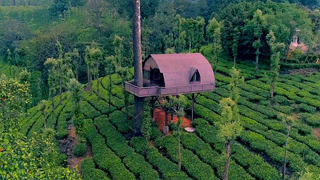 Priyadarshini Tea Plantations