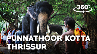Punnathoor Kotta, Thrissur | 360° Video