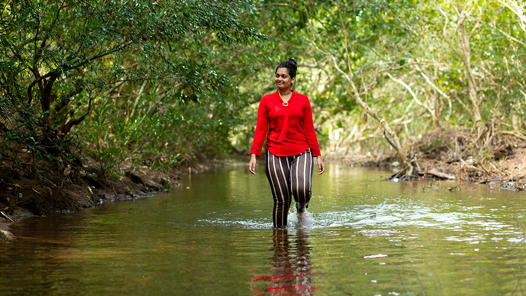 ഓടക്കോലി ഗോത്ര ഗ്രാമം