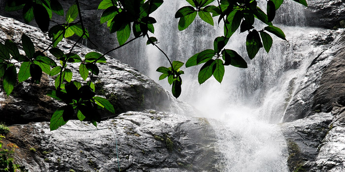 Palaruvi Waterfalls