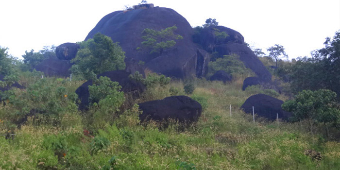 Chadayamangalam Jadayuppara