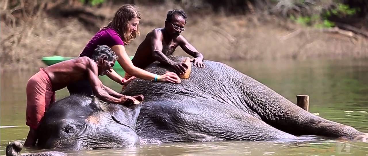 Kerala Blog Express Trip 2: Trivandrum