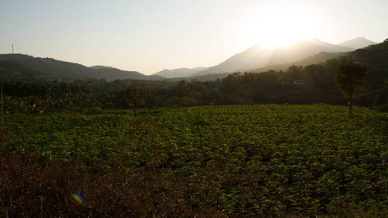 Bommiyampadi Silent Valley Ecotourism — Forest stay and trek in Silent Valley and Mukkali