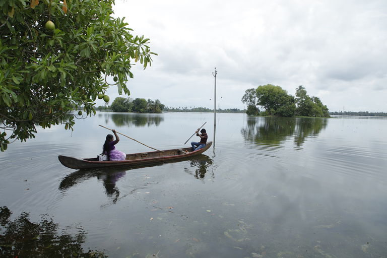 A backwater view from Pallathuruthy