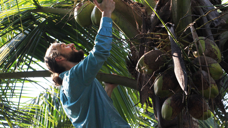 Coconut Climbing