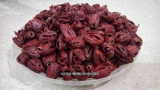 Nutmeg Mace (Flower Red)- 1KG