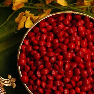 Festival Collection | Manjadi Seeds