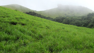 Ranipuram hills