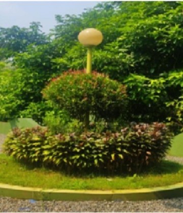 Grace Bamboo Garden Farm