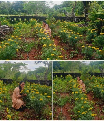 Poonghavanam Agri Farm