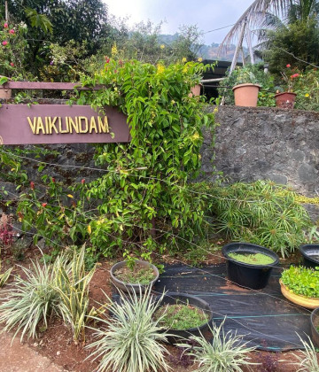 Organic Farm Walk  at Vaikundam  Farm with Konkani Traditional Lunch