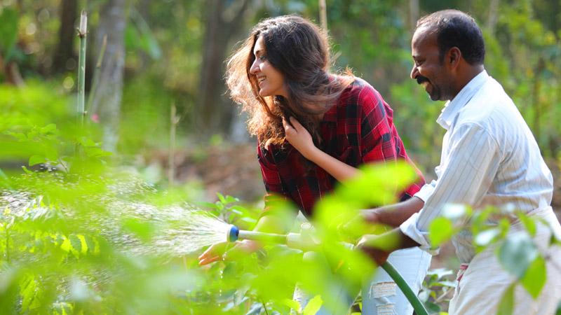 Plantation Visit