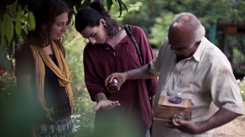 Honey Tasting Sessions