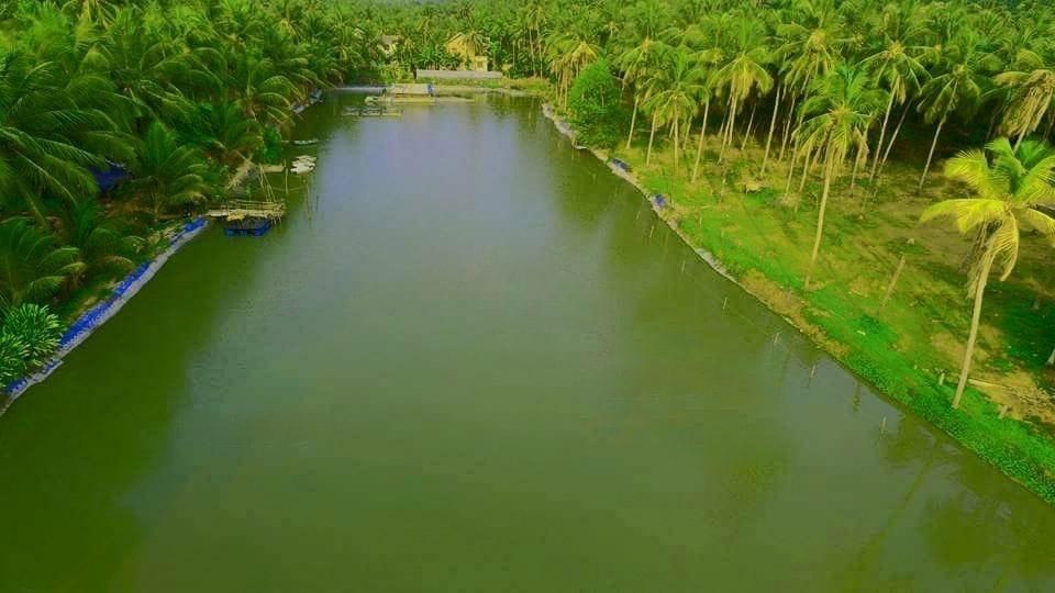 Chemmala Fish Farm Kerala Agri Tourism Network Responsible Tourism