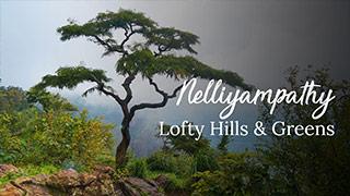 Nelliyampathy