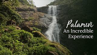 Palaruvi Waterfalls