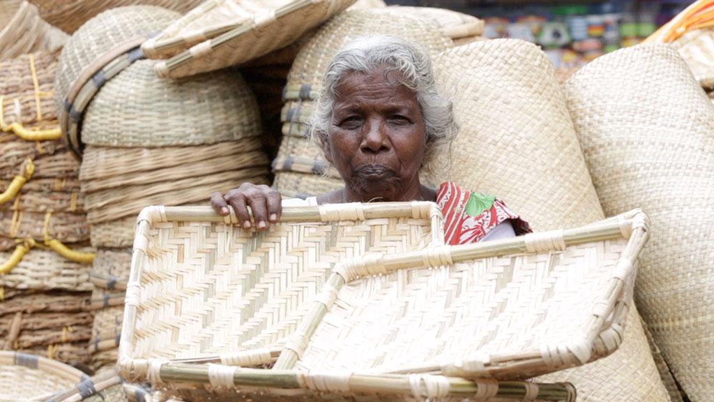 पाक्किल संक्रामा वनिभम