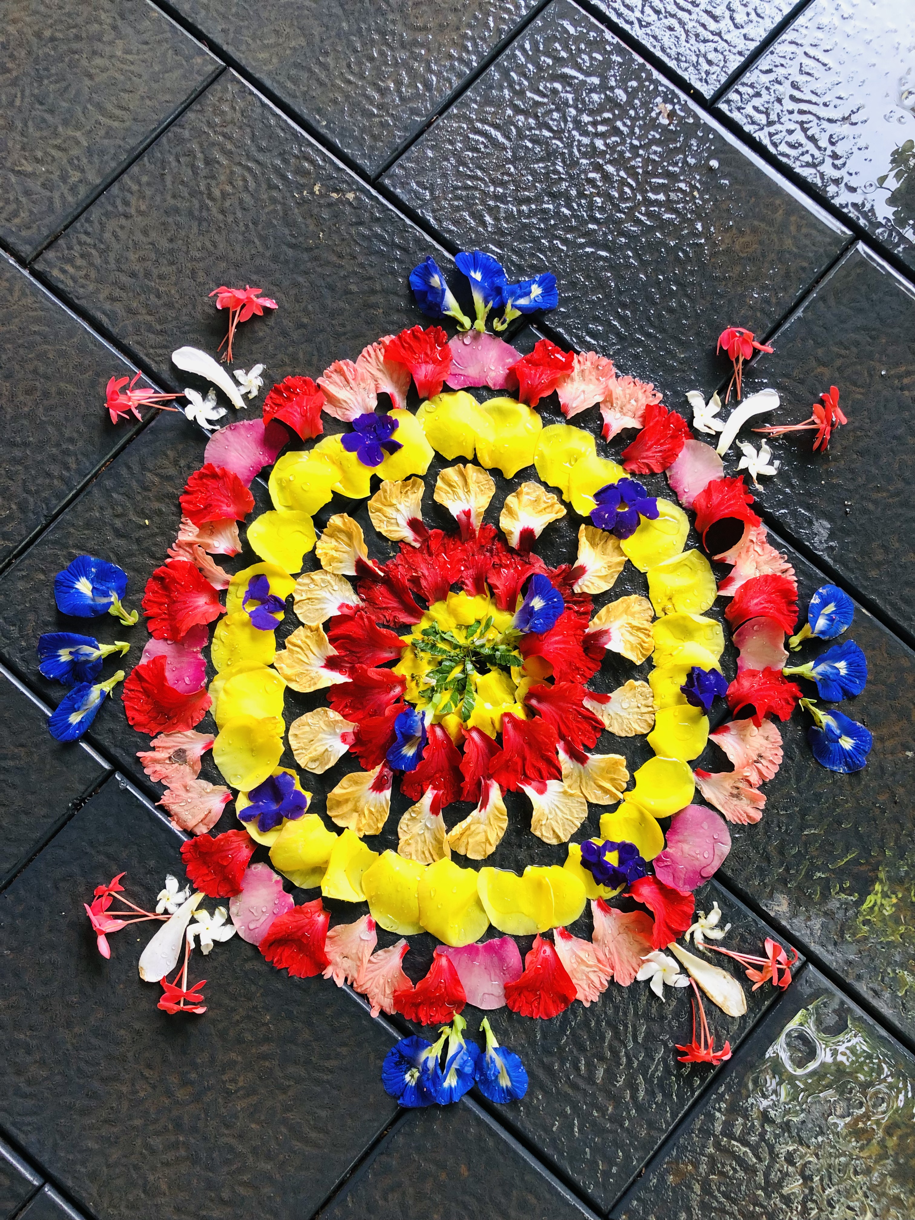 Pookkalam Photo