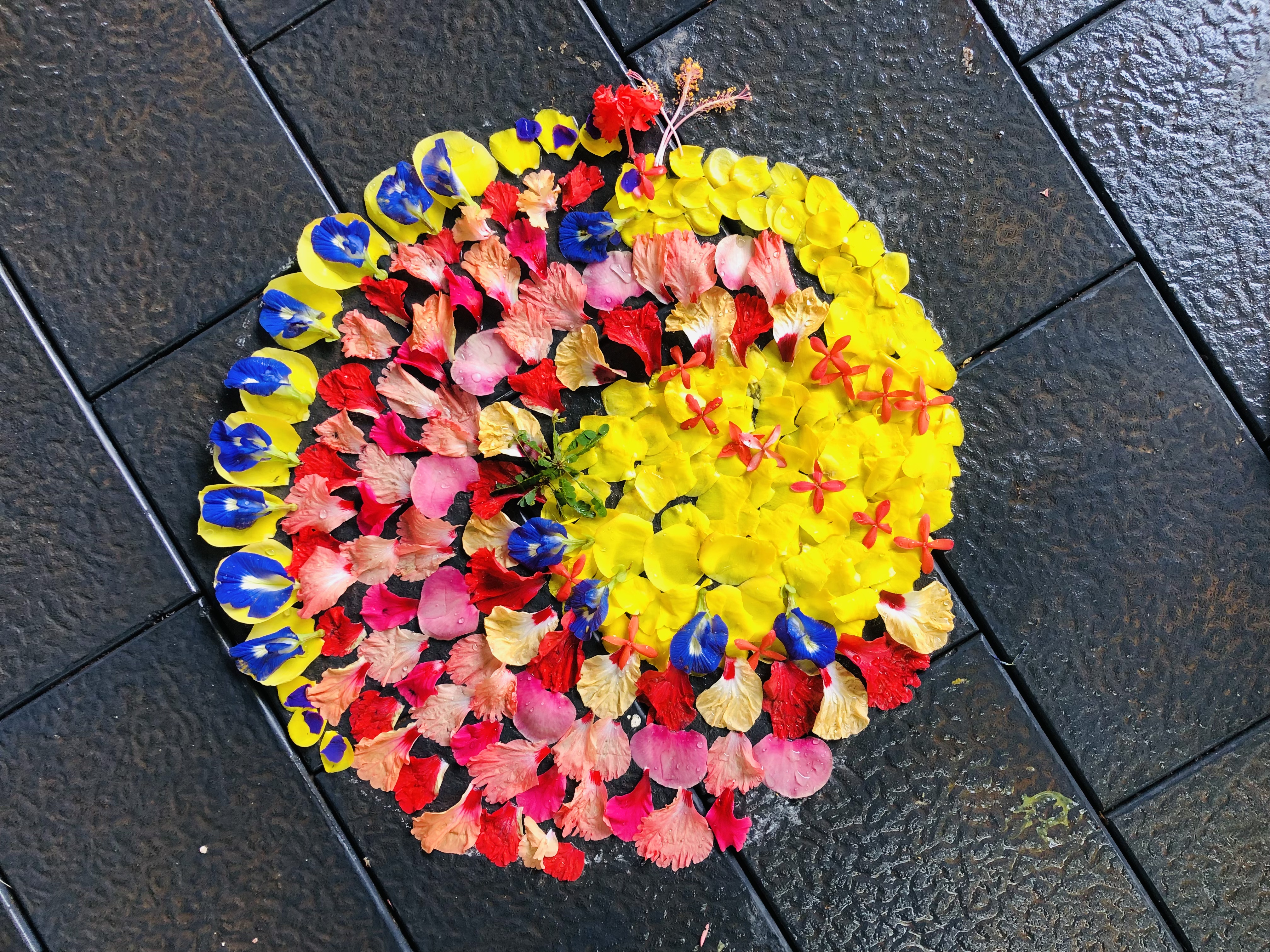 Pookkalam Photo