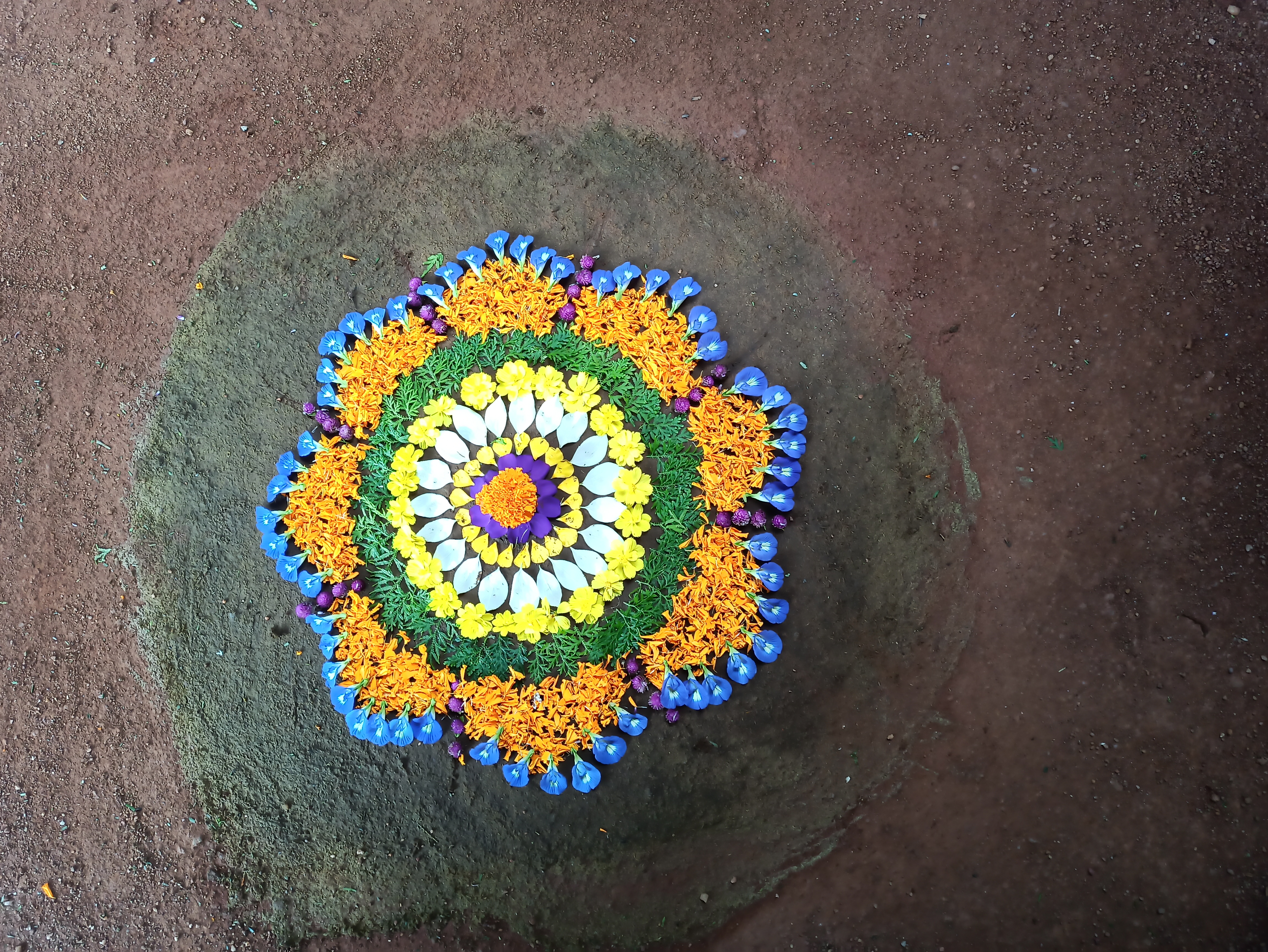 Pookkalam Photo