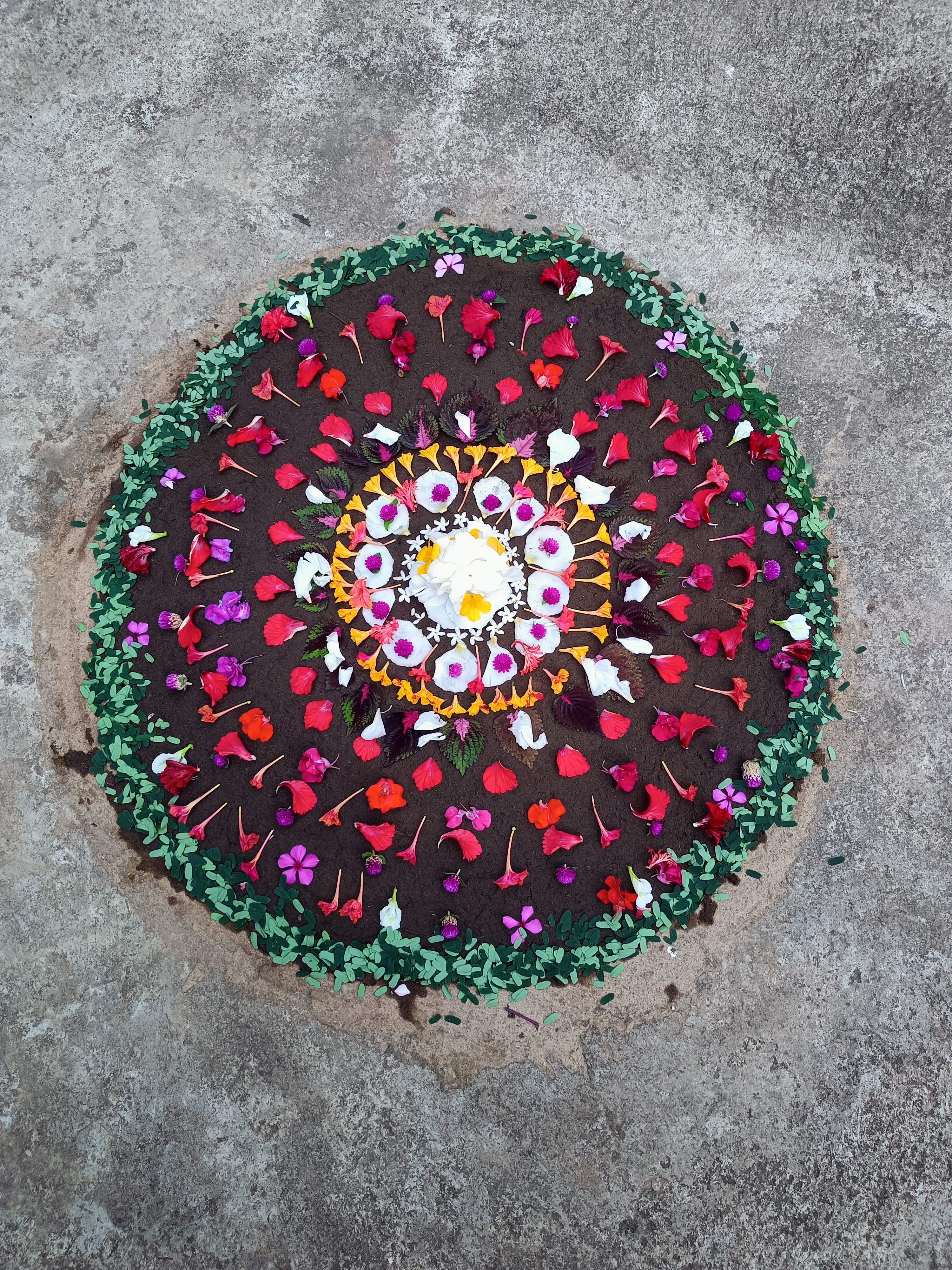 Pookkalam Photo
