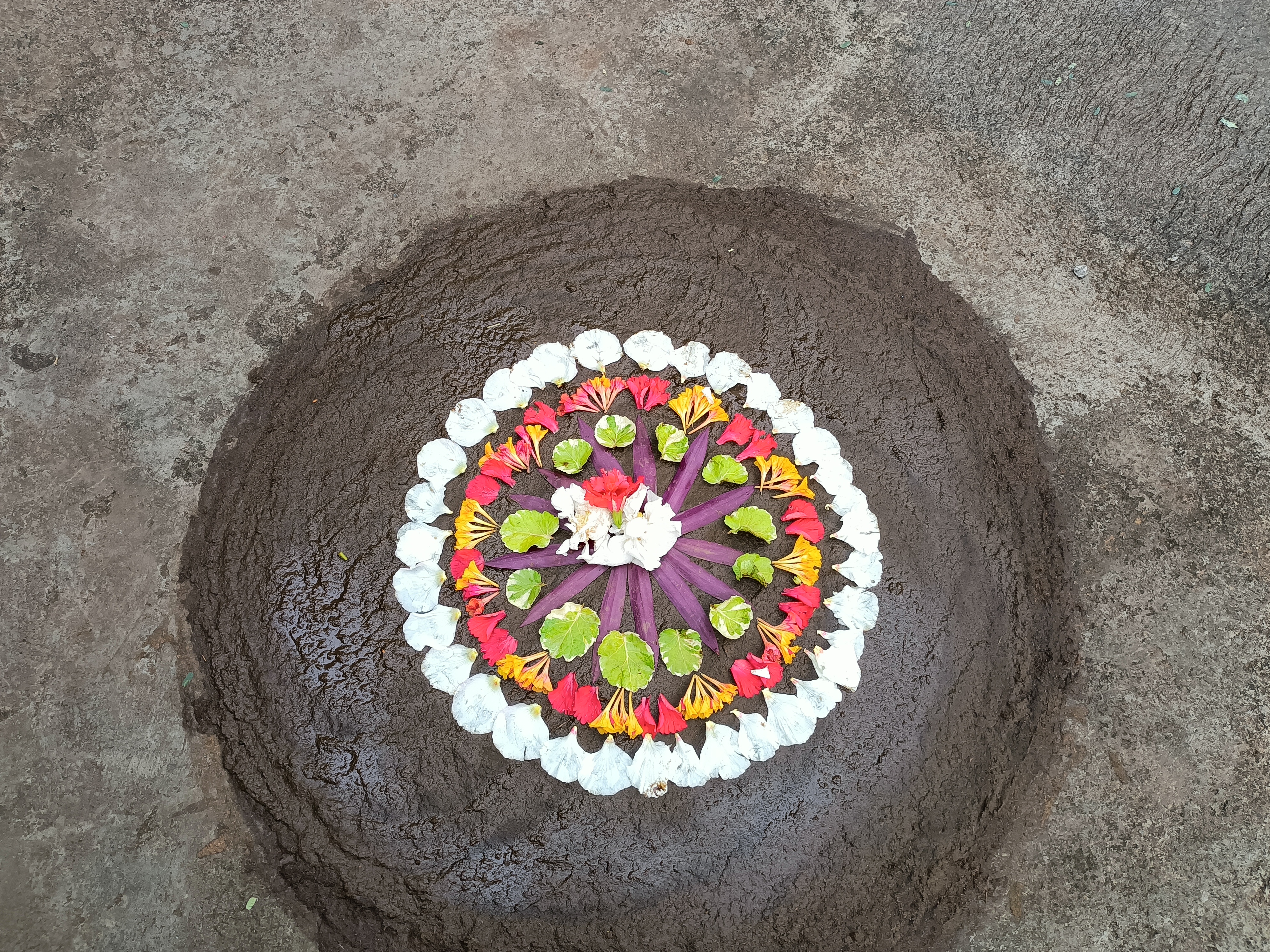Pookkalam Photo