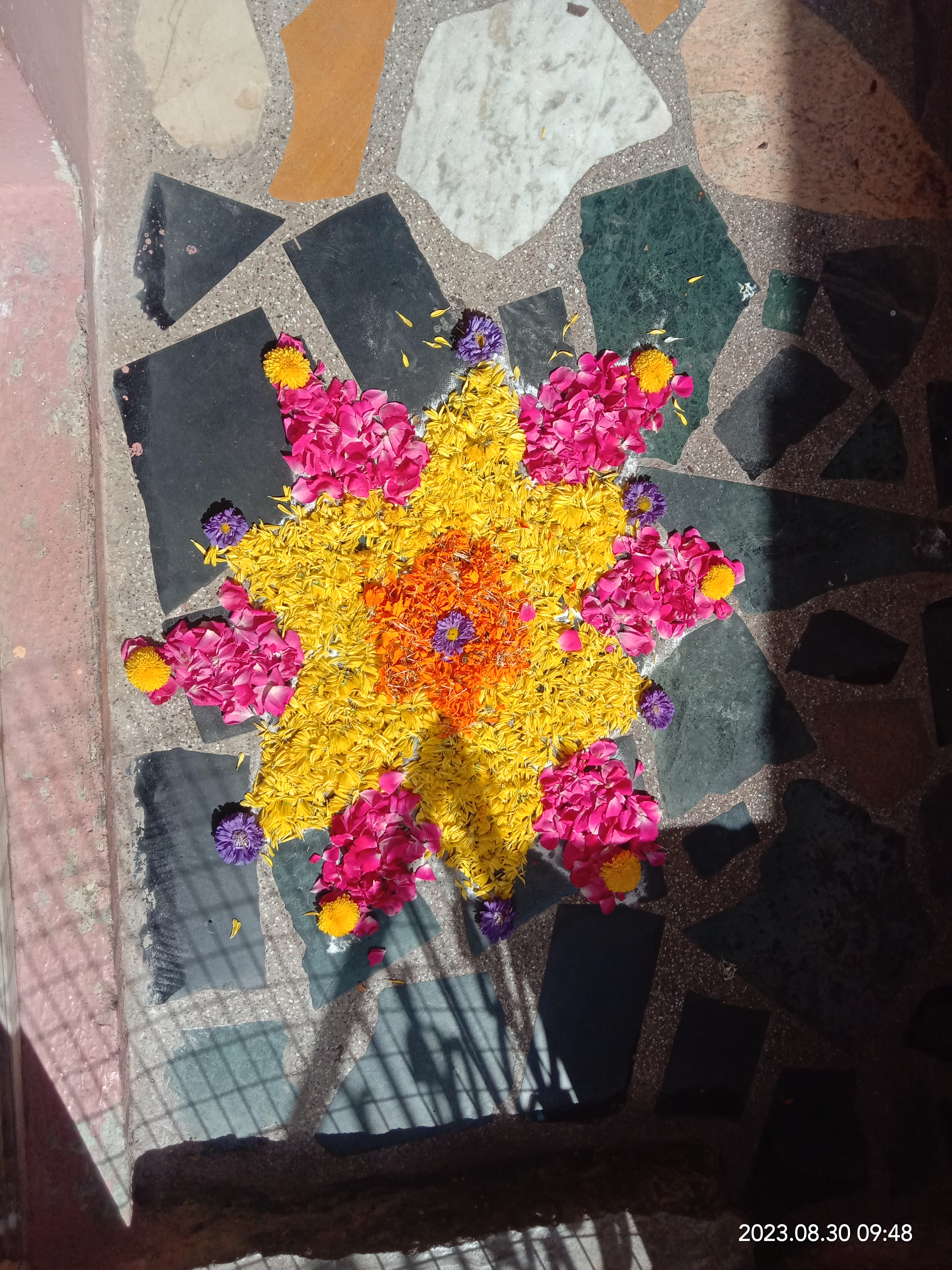 Pookkalam Photo