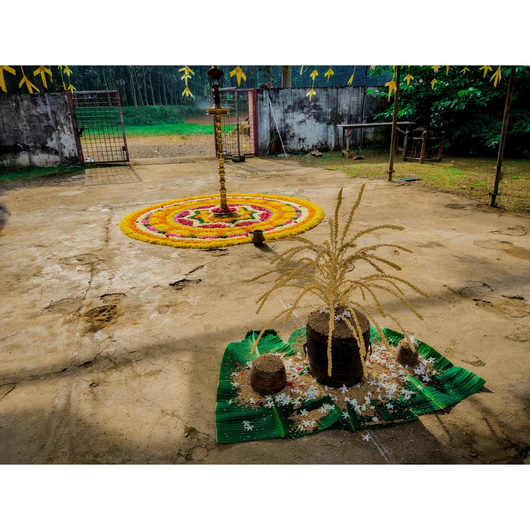 Pookkalam Photo