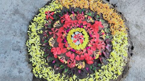 Pookkalam