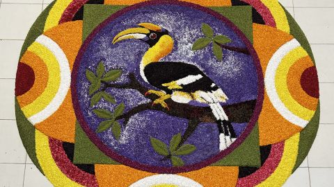 Pookkalam